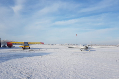 Winterfliegen